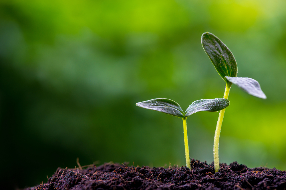 “How I Believe In&nbsp;God”