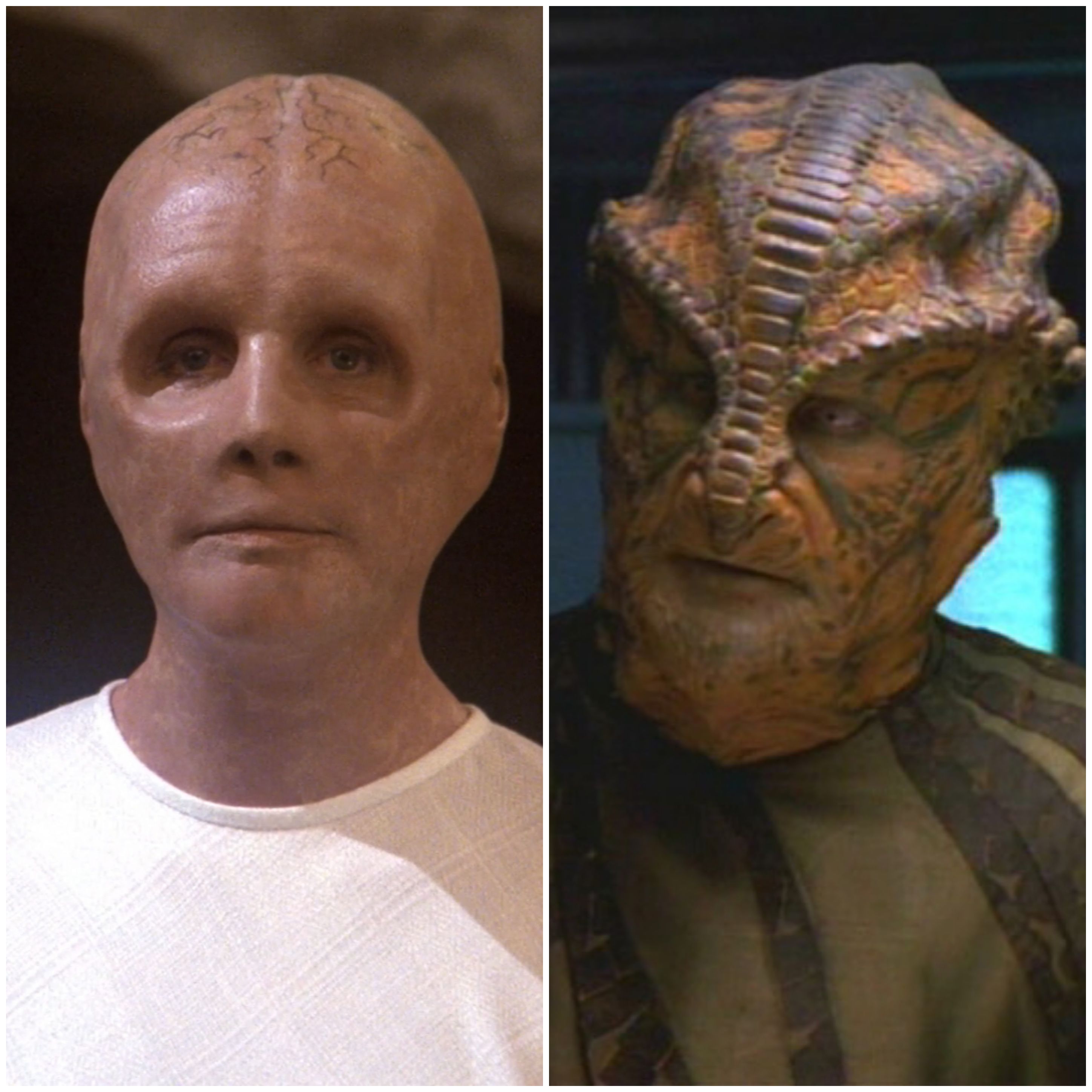 Star Trek: Humanoid Origins – Todd Decker